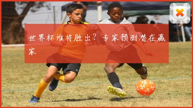 世界杯谁将胜出？专家预测潜在赢家