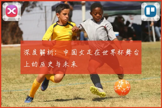 深度解析：中国女足在世界杯舞台上的历史与未来